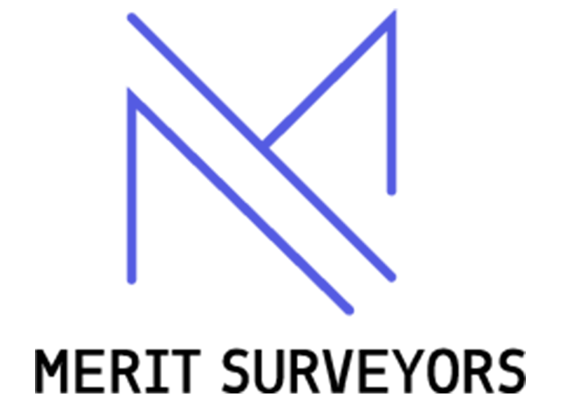 Merit Surveyors Logo